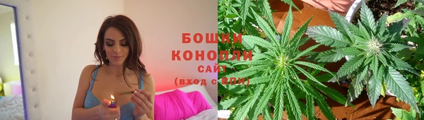 мдпв Киреевск