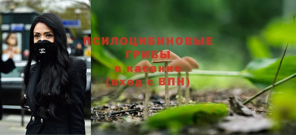 мдпв Киреевск