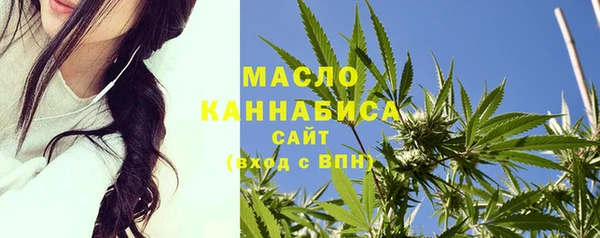 мдпв Киреевск
