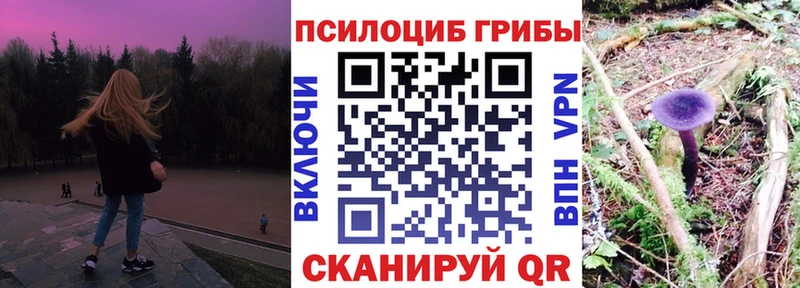Галлюциногенные грибы Psilocybe  Купить  Белово 